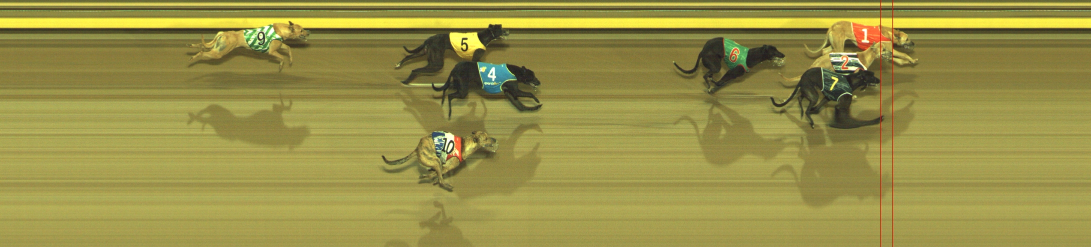 Race result finish photo